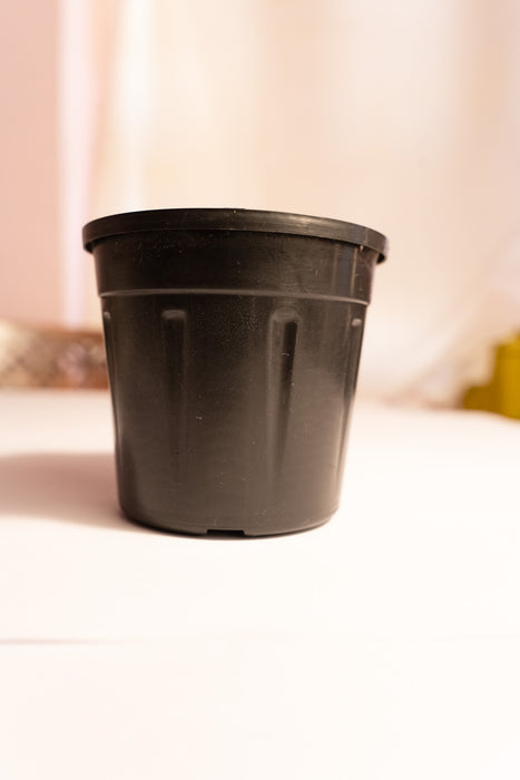 4 Inch Plastic Plant Pot Black